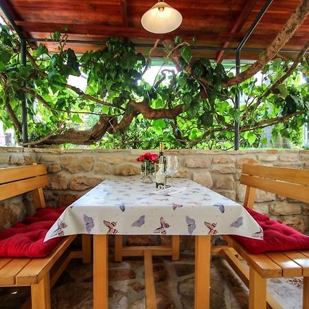 Carla Guest House Novigrad Istria Exterior foto