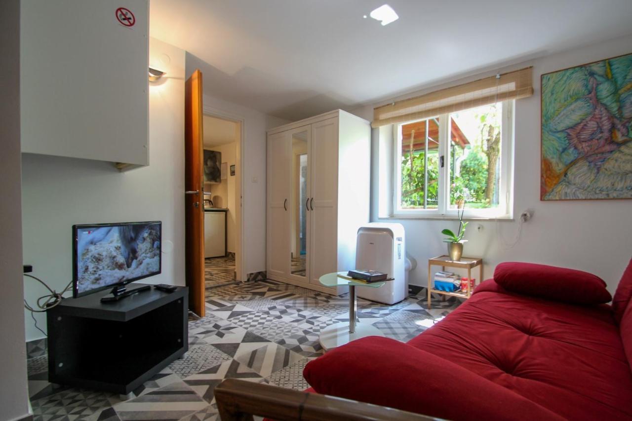 Carla Guest House Novigrad Istria Exterior foto